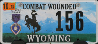 Licence Plate WY Wounded