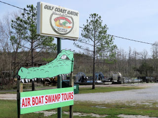 Swamp Tours Mississippi