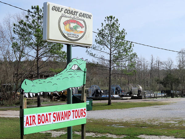 Swamp Tours Mississippi