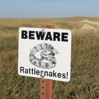 Beware Rattlesnakes Badlands