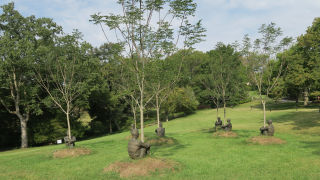 Cheekwood Botanical Garden 