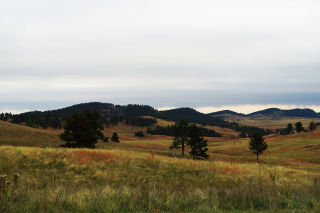 Custer State Park Vista SD