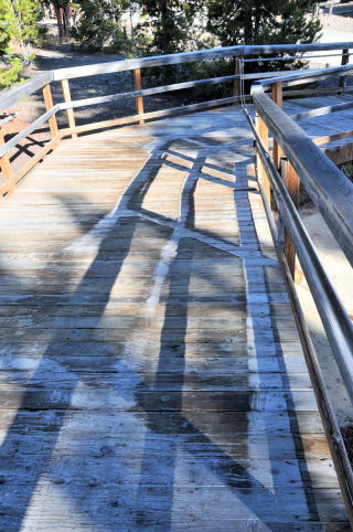 Frozen Walkway Yellowstone