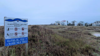 Galveston Island