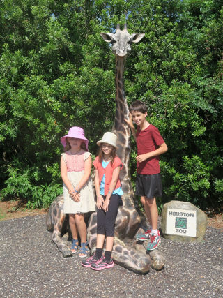 Houston zoo kids with giraffe
