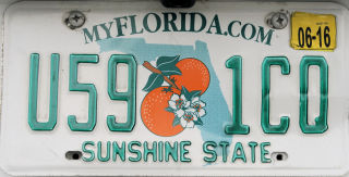 My Florida Plates