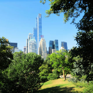 NY skyline from Central Park 