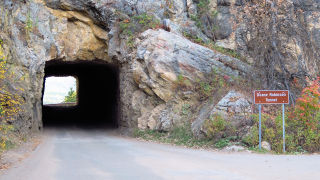 Peter Norbeck Byway Black Hills SD