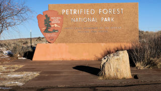 Petrified Forest Arizona
