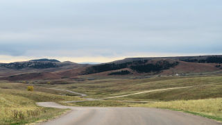Road Custer State Park