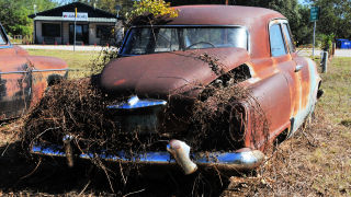 Studebaker Rising Star TX