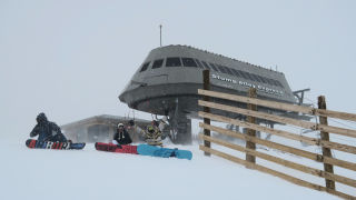 Stump Alley Express Mammoth