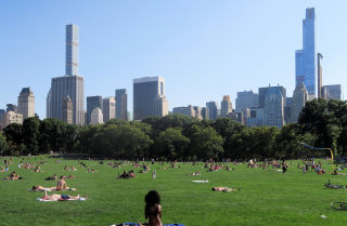 Sunbathers Central Park NY 