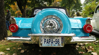 Thunderbird Maple Leaf Car Show Carthage Mo